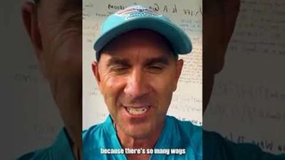 retentions-auction-strategy-and-more-straight-from-the-horses-mouth.Click to read full article.